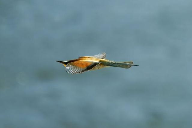 Foto di Giuseppe Maiorana